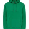 Only & Sons Sweat à Capuche Ceres -Only & Sons shop 22018685 verdant green only sons
