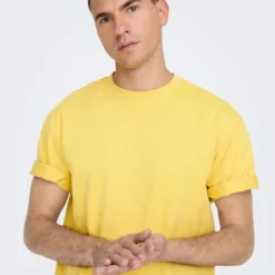 Only & Sons Tee-shirt Fred