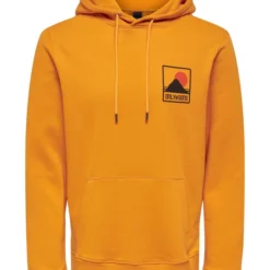 Only & Sons Onsblake Reg Hoodie Sweat Cs